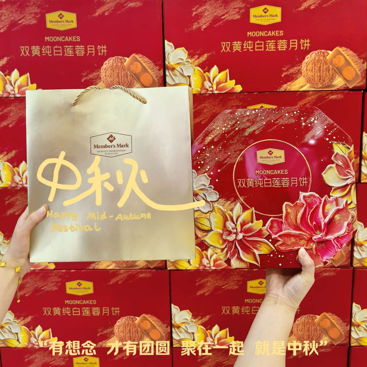 welcome-百乐博
